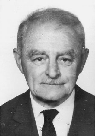 Fájl:Mozes Gyula.jpg